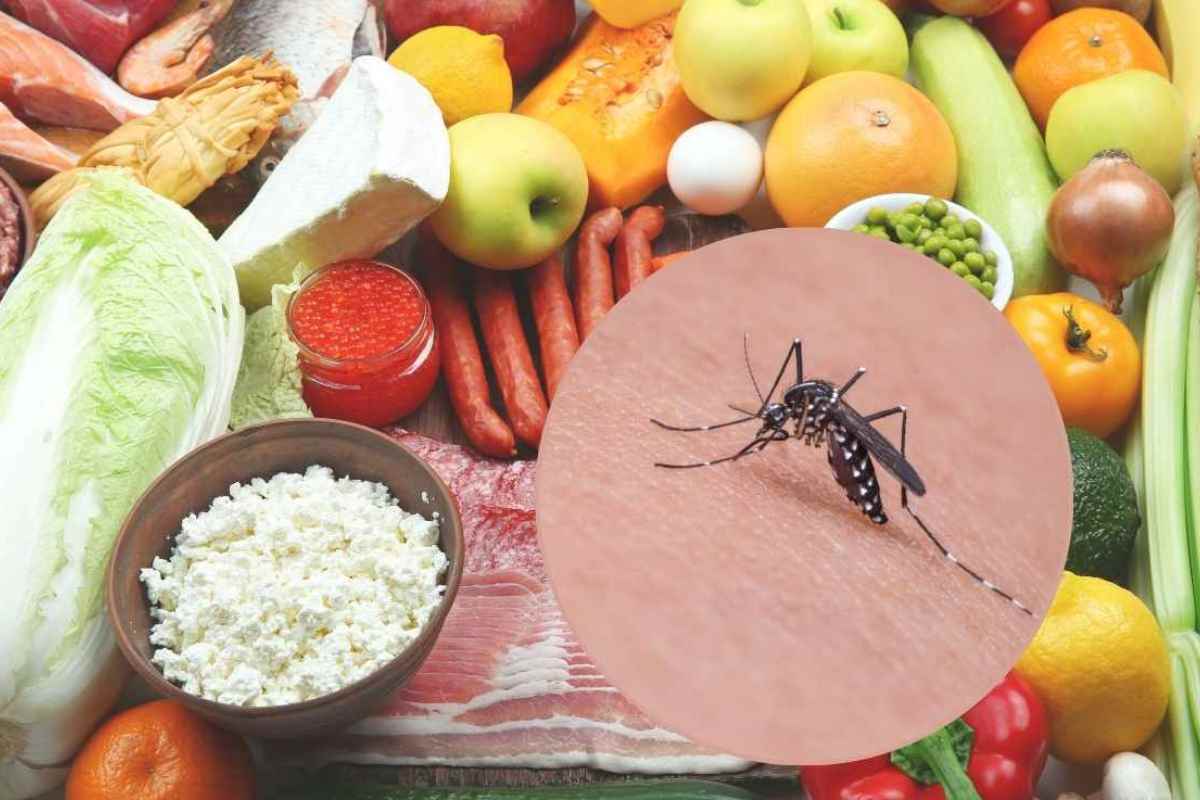 alimenti vari e zanzare in cornice