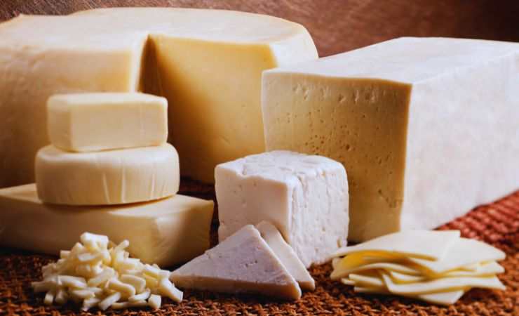 vari tipi di formaggio