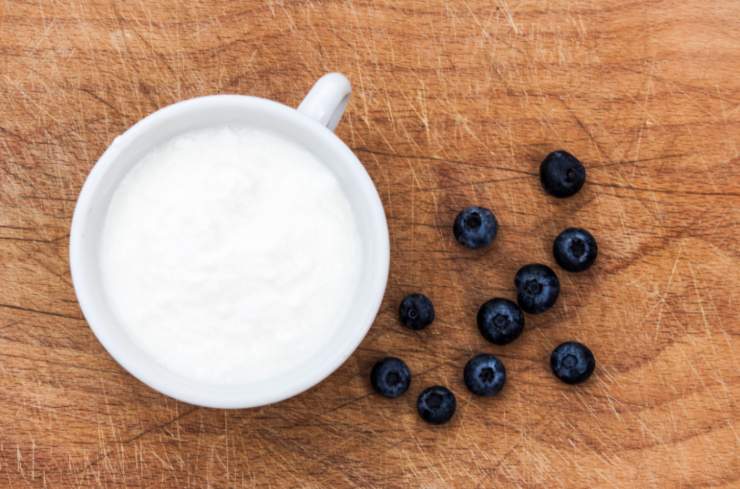ciotola di yogurt bianco con accanto dei mirtilli