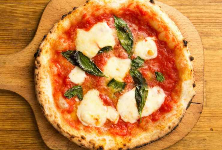 pizza margherita