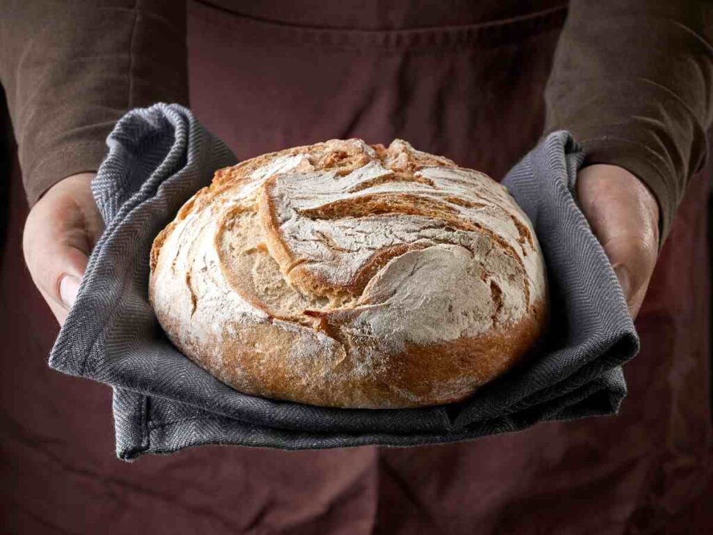 pagnotta appena sfornata