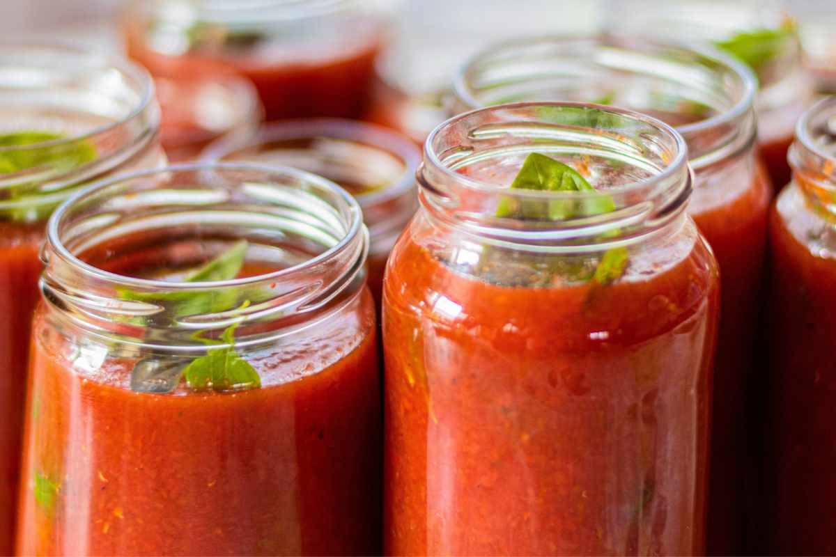 barattoli di salsa di pomodoro