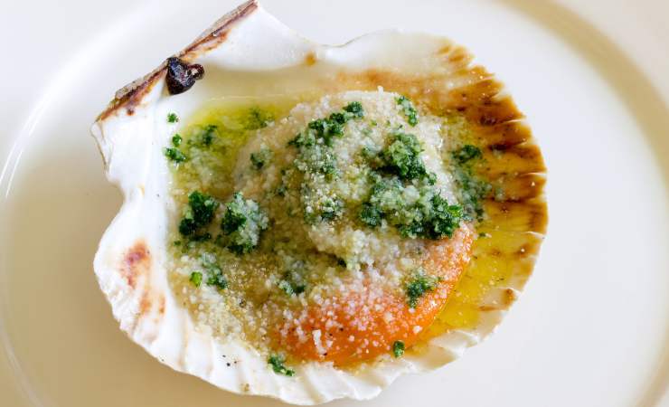 piatto con capasanta gratinata