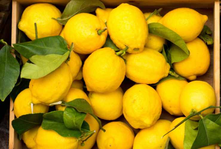 cassetta di limoni