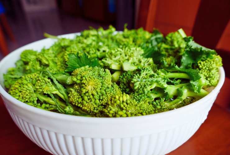 insalatiere con le cime di rapa
