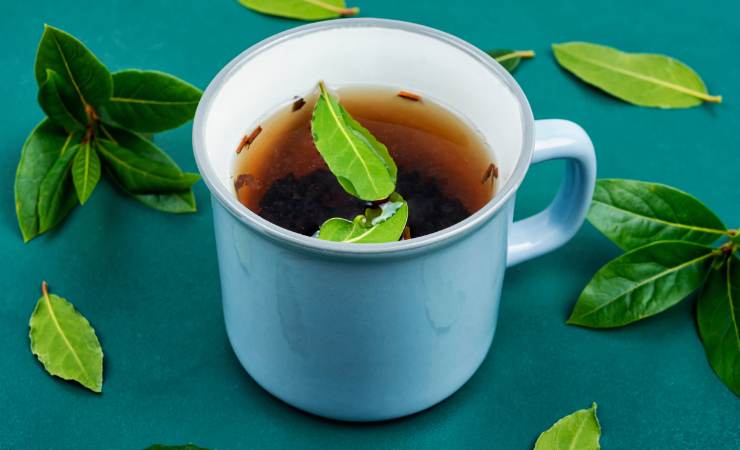 tazza di tisana all'alloro