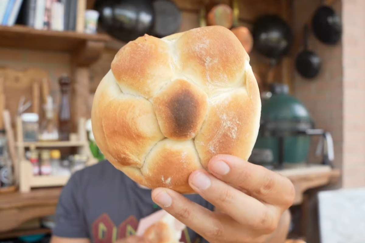 ragazzo mostra una rosetta