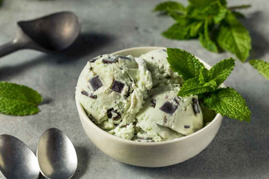 Ciotola con gelato alla menta, foglie di menta e scaglie di cioccolato