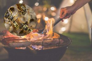 barbecue e nido vespe