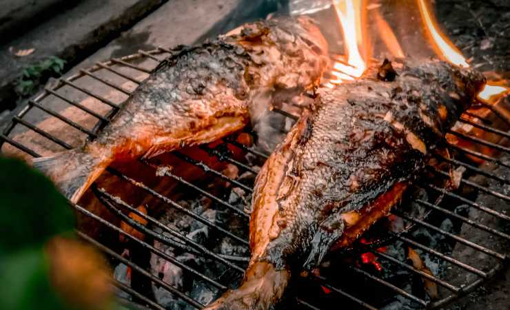 pesce alla griglia