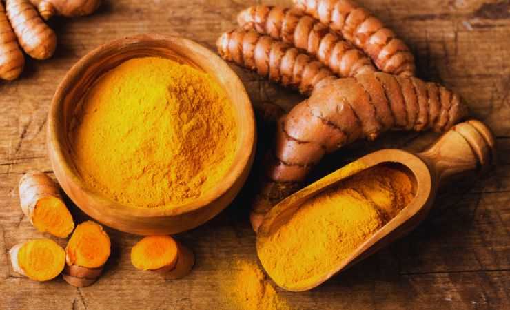 curcuma radice e polvere